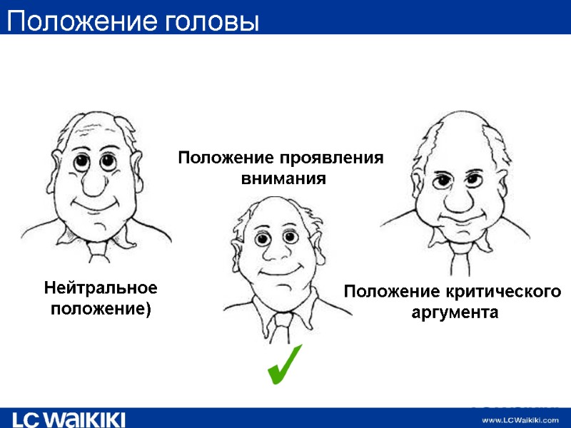 Положение головы Положение проявления  внимания Нейтральное положение) Положение критического  аргумента